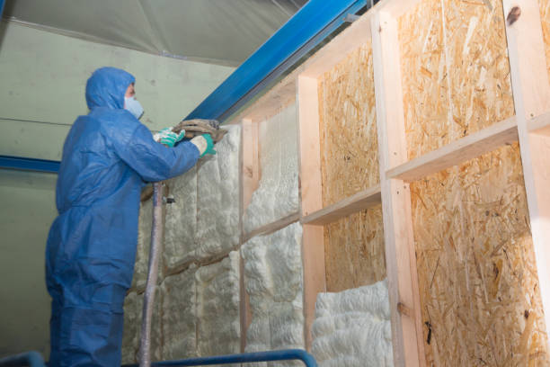 Best Insulation Replacement Services  in Mesquite, TX